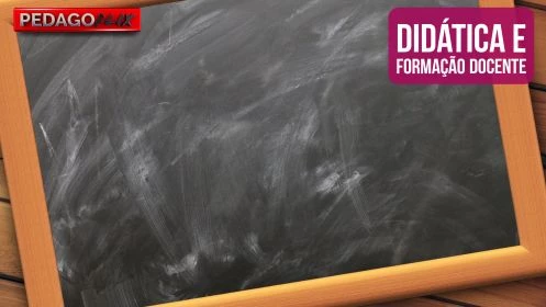 DIDÁTICA E FORMAÇÃO DOCENTE