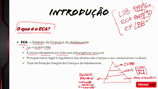 ECA - Aula 1 - ESTATUTO DA CRIANÇA E DO ADOLESCENTE