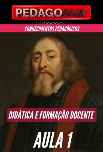 DIDÁTICA E FORMAÇÃO DOCENTE - AULA 1