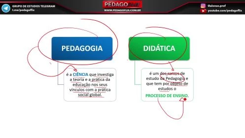 DIDÁTICA E FORMAÇÃO DOCENTE - AULA 1