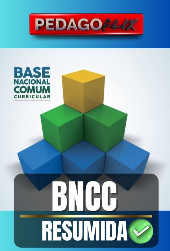 BNCC RESUMIDA