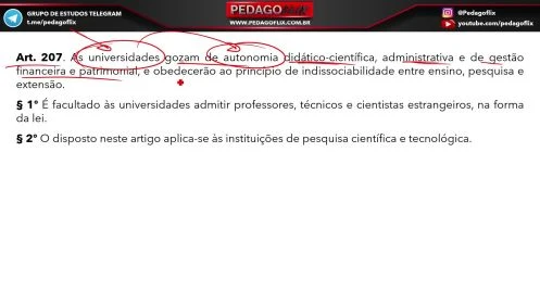 CONSTITUIÇÃO FEDERAL RESUMIDA - CF88 RESUMIDA