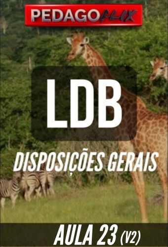 LDB - AULA 23 (V2) - DISPOSIÇÕES GERAIS