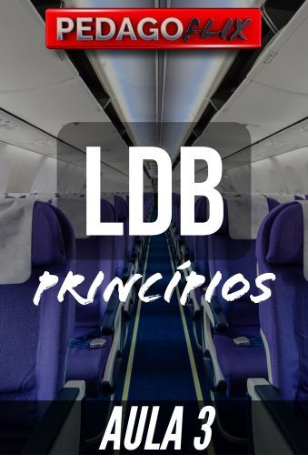 LDB - AULA 3 (V4) - PRINCÍPIOS DO ENSINO