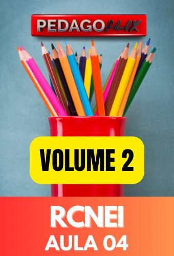 2025 - RCNEI - VOLUME 2 - AULA 4