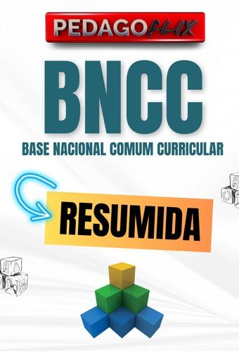 2026 - BNCC RESUMIDA 2026