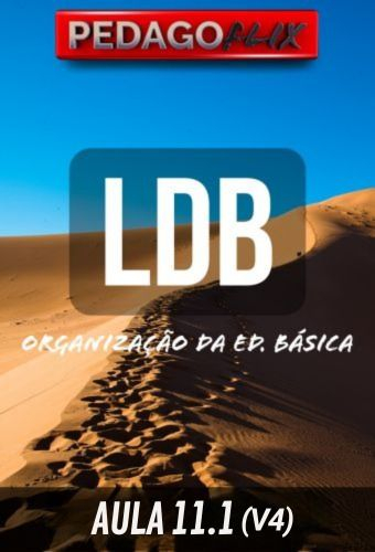 LDB ALTERADA - AULA 11.1_V4 - ART 25A - ORGANIZACAO DA EDUCACAO BASICA