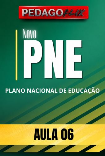 2026 - NOVO PNE - AULA 6
